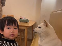-柴の食堂·日式家庭料理·熊之肆(大学路店)