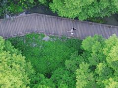 -桤木河湿地公园