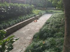 -静安公园(静安寺街道)