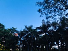 -四海公园(南山区)