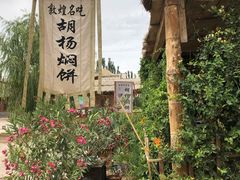 -沙洲胡杨焖饼