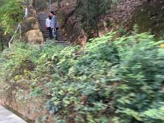 -金鸡山公园