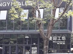 -麦田工坊(月湖店)