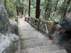 -长沙黑麋峰国家森林公园