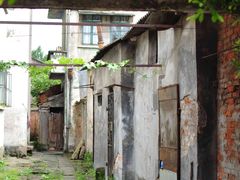 -长洲岛