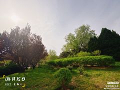 -望湖公园