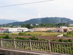 -大塘金香草谷