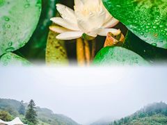 -南天湖景区
