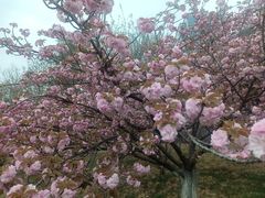 -陕西华浮宫酒店(未央湖公园店)