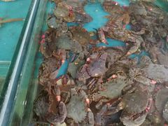 -四海鲜渔家菜(黄金海岸店)