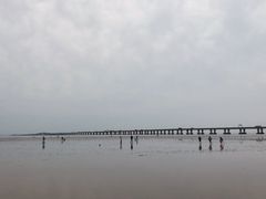 -南汇新城海滩