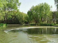 -同里国家湿地公园