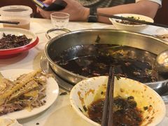 -川道拐耗儿鱼(旗舰店)