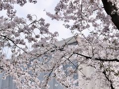 -龙美术馆(西岸馆)