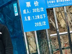 -王顺山国家森林公园