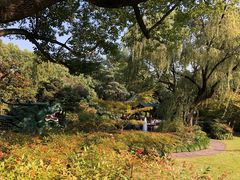 -申粤轩酒楼·三十年粤菜经典(丁香花园店)