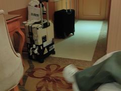 -维也纳智好酒店(深圳罗湖口岸国贸火车站店)