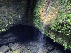 -鹿院坪生态旅游景区