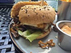 -bluefrog蓝蛙(皇庭广场店)