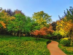 -木塔寺遗址生态公园
