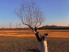 -汉长安城未央宫国家考古遗址公园