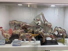 -斯坦星球青少儿编程机器人科学思维专注力科创竞赛规划(兰岛学习中心)