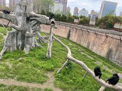 -南昌动物园