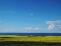 -青海湖国家重点风景名胜区