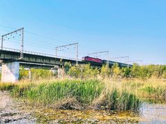 -永定河休闲森林公园