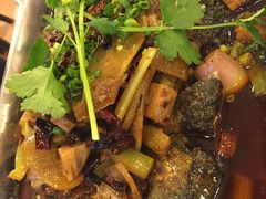 香辣味烤鱼-沈姐万州烤鱼(沙坪坝七中店)