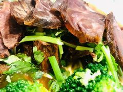 -囿面传统制面馆(中央路店)