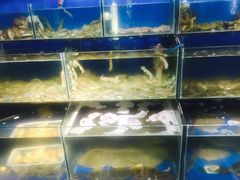 -日照大牌檔•小船海鲜(万平口店)