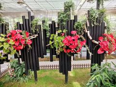 -上海鲜花港