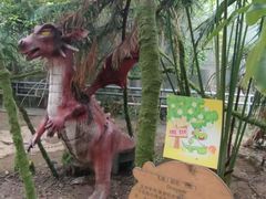 -呀路古热带植物园
