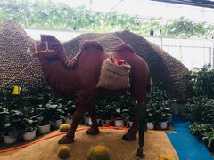 -兰陵国家农业公园