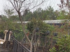 -墨江北回归线标志园