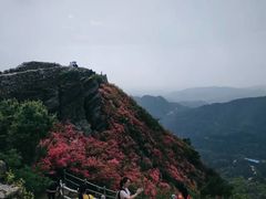 -木兰云雾山