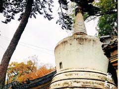 -潭柘寺景区