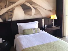 -国家会议中心大酒店