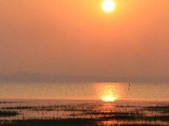 -鄱阳湖国家湿地公园