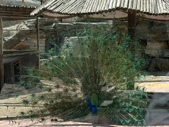 -北宫国家森林公园