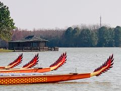 -上海海湾国家森林公园