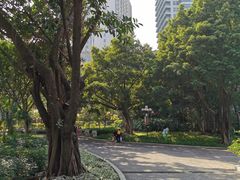 -东风公园