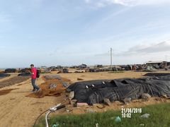 -尼甘布海鲜市场