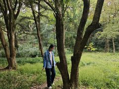 -灵谷景区
