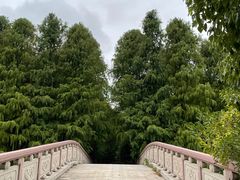 -上海海湾国家森林公园