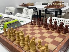 -常青藤国际象棋(新奥店)