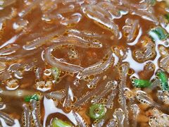 牛肉粉丝-新丰小吃(中山中路分店)