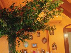 -猫岛主趣味餐厅(鼓浪屿店)