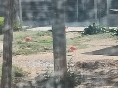 -太原动物园
